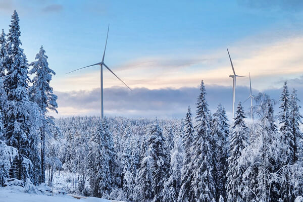 Björnberget
