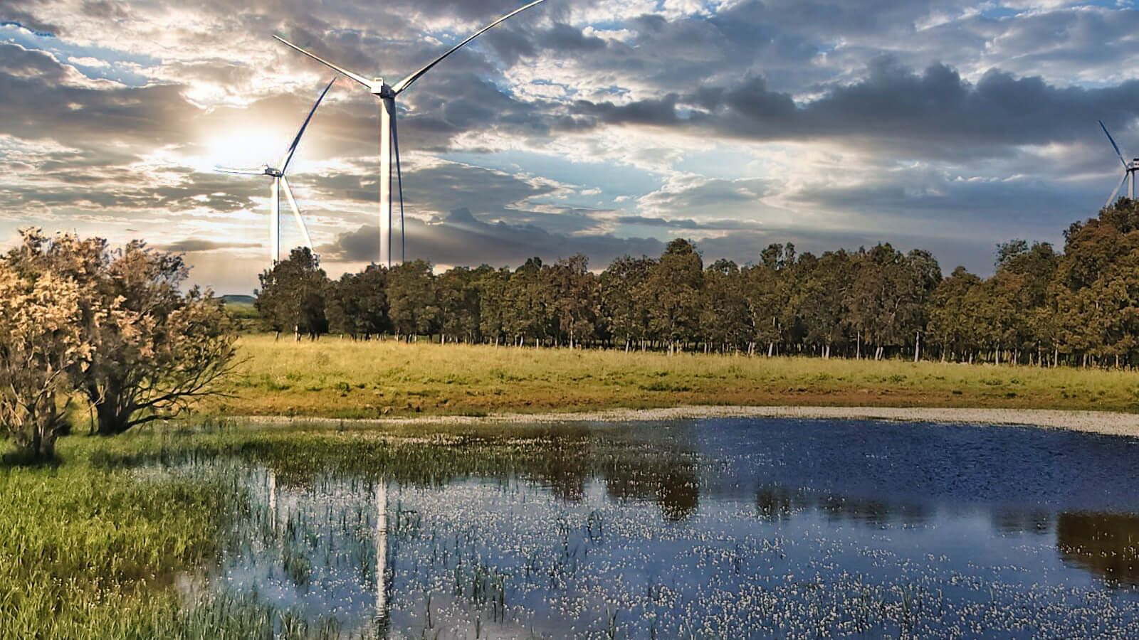 Genesis Wind-2