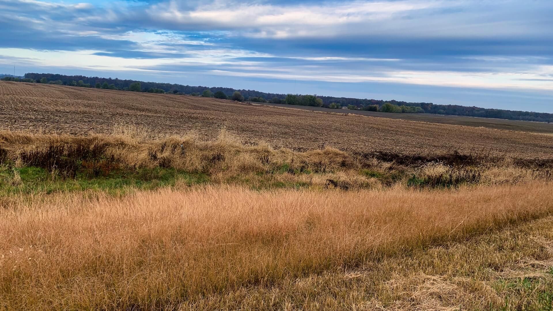 Rustic_Hills-media-1