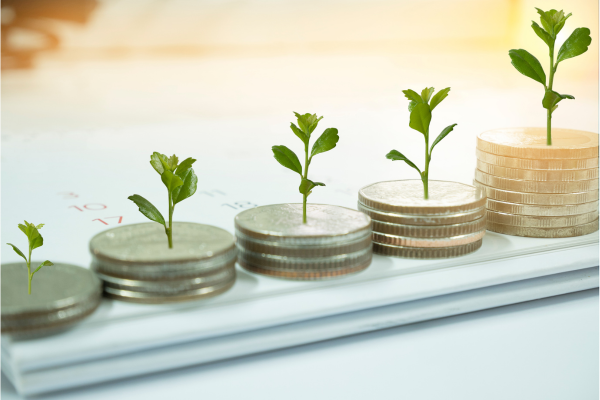 Significant Growth in 2025
